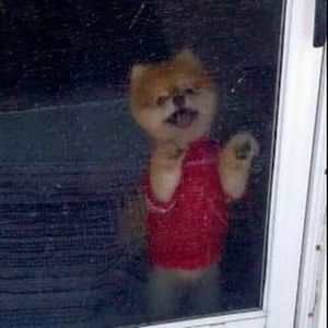 Meet your Posher, Deanna